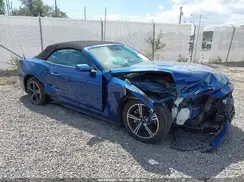 1FAGP8UH9R5131393 2024 FORD MUSTANG