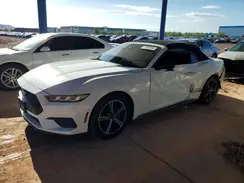 1FAGP8UHXR5106017 2024 FORD MUSTANG