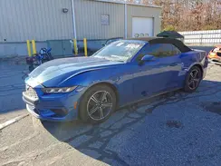 1FAGP8UHXR5110150 2024 FORD MUSTANG