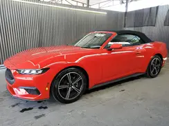 1FAGP8UHXR5114960 2024 FORD MUSTANG