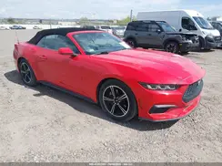 1FAGP8UHXR5117020 2024 FORD MUSTANG