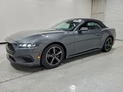 1FAGP8UHXR5120600 2024 FORD MUSTANG