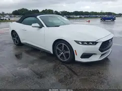 1FAGP8UHXR5126929 2024 FORD MUSTANG