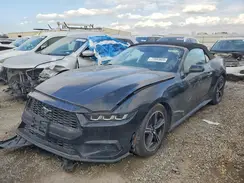 1FAGP8UHXR5126946 2024 FORD MUSTANG