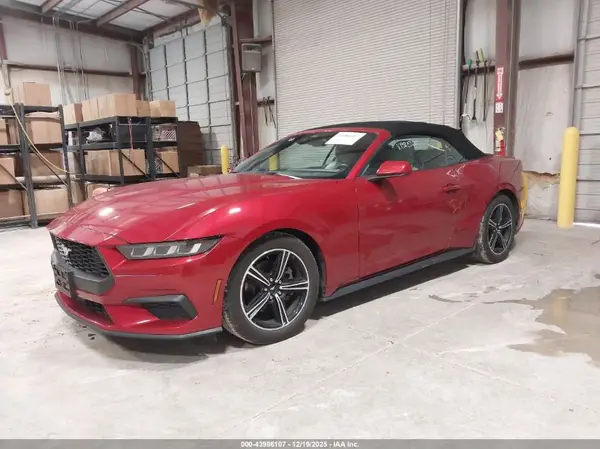 1FAGP8UHXR5127207 2024 FORD MUSTANG - Image 2