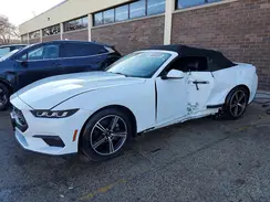 1FAGP8UHXR5129572 2024 FORD MUSTANG