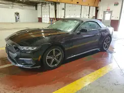 1FAGP8UHXR5140619 2024 FORD MUSTANG