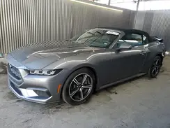 1FAGP8UHXS5105858 2025 FORD MUSTANG