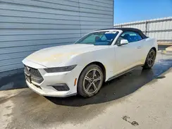 1FAGP8UHXS5113491 2025 FORD MUSTANG
