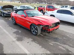 1FATP8EM3H5293335 2017 FORD MUSTANG