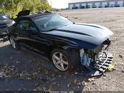 1FATP8EM4H5313463 2017 FORD MUSTANG