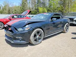 1FATP8EM4H5321031 2017 FORD MUSTANG