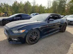 1FATP8EM5H5318199 2017 FORD MUSTANG