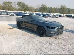 1FATP8EM8G5304411 2016 FORD MUSTANG