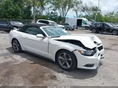 1FATP8EM8H5313529 2017 FORD MUSTANG