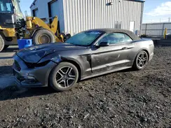 1FATP8EM9G5334422 2016 FORD MUSTANG