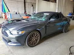 1FATP8EMXG5290852 2016 FORD MUSTANG