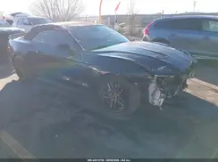 1FATP8FF0K5121030 2019 FORD MUSTANG