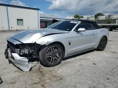1FATP8FF0K5161642 2019 FORD MUSTANG