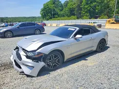 1FATP8FF0K5179512 2019 FORD MUSTANG
