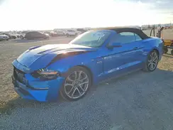 1FATP8FF1K5100493 2019 FORD MUSTANG