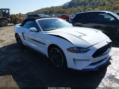 1FATP8FF1K5147149 2019 FORD MUSTANG