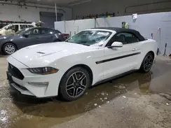 1FATP8FF1M5135621 2021 FORD MUSTANG