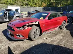 1FATP8FF2H5262979 2017 FORD MUSTANG