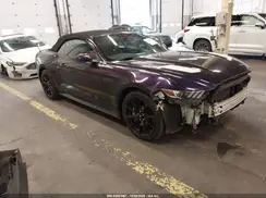 1FATP8FF2H5308360 2017 FORD MUSTANG