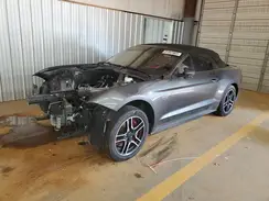 1FATP8FF3K5151087 2019 FORD MUSTANG