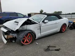 1FATP8FF3K5182260 2019 FORD MUSTANG