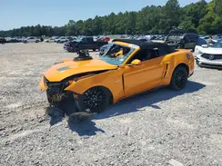 1FATP8FF3K5195543 2019 FORD MUSTANG