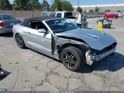 1FATP8FF4K5169954 2019 FORD MUSTANG