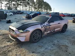1FATP8FF6K5126281 2019 FORD MUSTANG