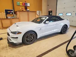 1FATP8FF6K5150239 2019 FORD MUSTANG