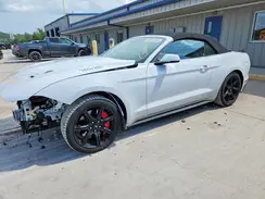 1FATP8FF6K5185721 2019 FORD MUSTANG