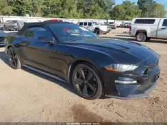 1FATP8FF6K5187789 2019 FORD MUSTANG