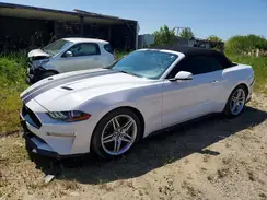 1FATP8FF7K5154624 2019 FORD MUSTANG