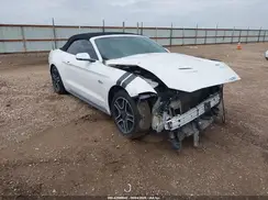 1FATP8FF7K5170340 2019 FORD MUSTANG