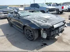 1FATP8FF8K5150193 2019 FORD MUSTANG