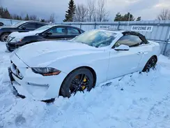 1FATP8FF8K5190175 2019 FORD MUSTANG