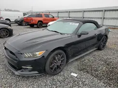 1FATP8FF9H5270769 2017 FORD MUSTANG
