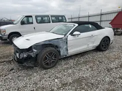 1FATP8FF9K5150235 2019 FORD MUSTANG