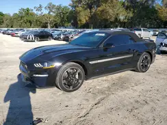 1FATP8FFXK5162572 2019 FORD MUSTANG