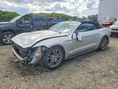 1FATP8UH0H5281759 2017 FORD MUSTANG