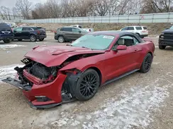 1FATP8UH0H5317594 2017 FORD MUSTANG