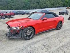 1FATP8UH0H5334427 2017 FORD MUSTANG