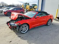 1FATP8UH0H5343550 2017 FORD MUSTANG
