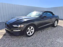 1FATP8UH0K5101882 2019 FORD MUSTANG