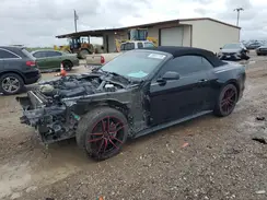 1FATP8UH0K5150001 2019 FORD MUSTANG